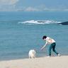 财富湛静